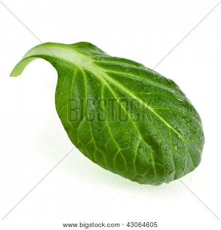 čerstvý zelený listový špenát nebo pak choi closeup makro izolovaných na bílém pozadí