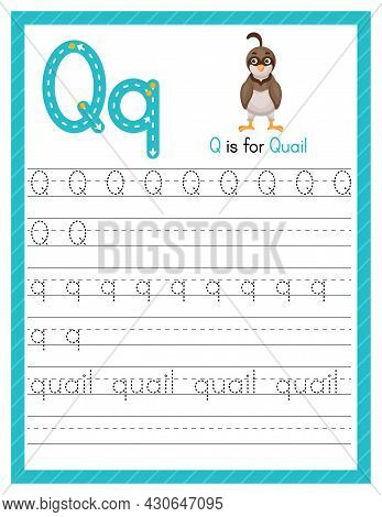Trace Letter Q Uppercase And Lowercase. Alphabet Tracing Practice Preschool Worksheet For Kids Learn