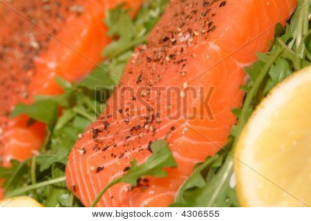 Laks Filet på en plade med nogle grøn Salat