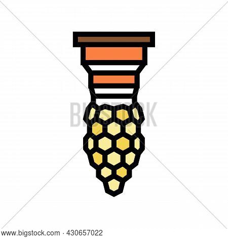 Bee Queen Production Beekeeping Color Icon Vector. Bee Queen Production Beekeeping Sign. Isolated Sy