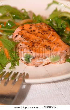Laks Filet på en plade med nogle grøn Salat