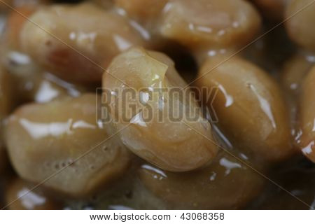 อาหารญี่ปุ่นของ natto