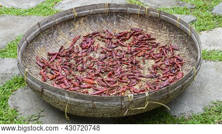 Red Chili Peppers Drying Out In The Sun Naturally, Laying Flat, And Spreads Thin Out On A Basket Sur