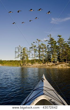 เรือคายัค Flys กว่าห่านบนทะเลสาบเหนือ