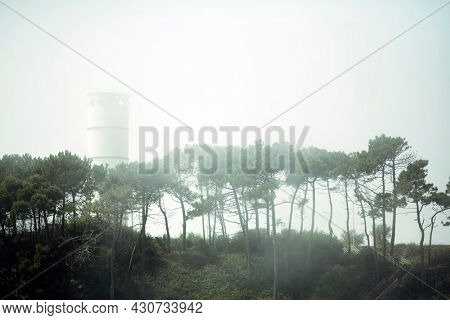 View of the Biological Park of S.Paio in Vila Nova de Gaia, Porto, Portugal.