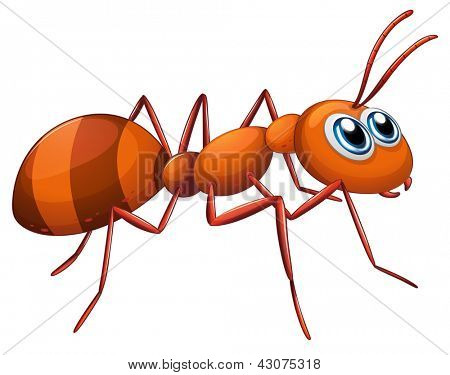 Ilustracja mrówka na białym tle