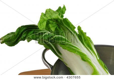 Bok Choy
