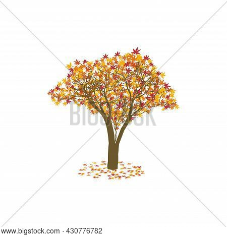 Autumn Tree For Concept Design. Nature Background Vector.