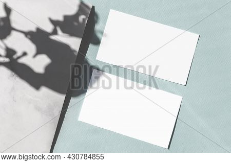 Mock Up Blank Orizontal Paper Business Cards, Shadow Overlay Plant On Pastel Green Background. Minim