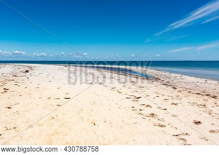 Wild Beautiful Beach On The Dzharylgach Island In The Black Sea.