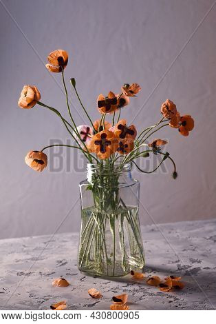 A Little Red Poppies Bouquet Arranged In Classical Style Stillife Of Popies In A Glasses Vase On Vin