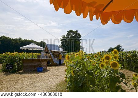 Beaverton, Ontario / Canada - 16/08/2021: Food And Beverage Kiosk In The Sunflower Farm