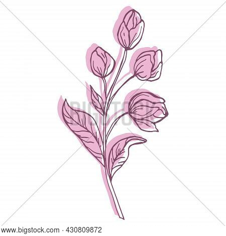 Pastel Pink 矢量图和照片（免费试用） | Bigstock