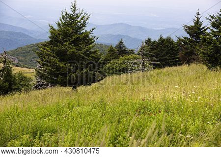 View From Whitetop Mountain In The Appalachian Mountains In Virginia