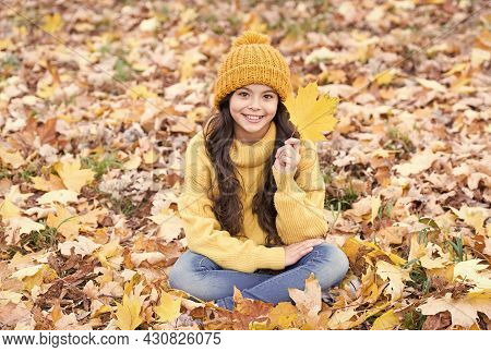 Turning Over A New Leaf. Happy Small Girl On Autumn Day. Small Kid Smile Sitting On Fall Leaves. Sma