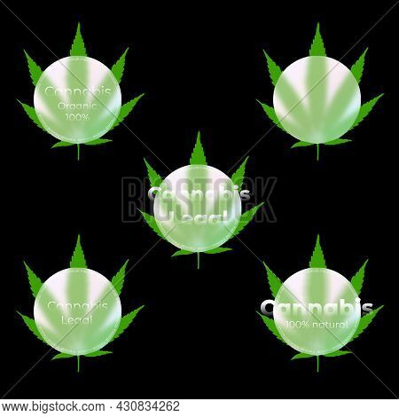 Medical Cannabis Emblems, Label, Leaf Logo Set. Glass Morphism. Lettering. Marijuana Label For Recre