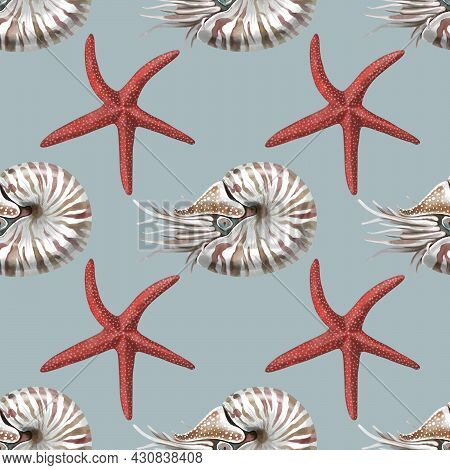 Nautilus Mollusk Nautilus Pompillius On A Black-white Striped Background, Hand Drawn Watercolor Illu