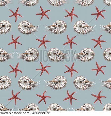 Nautilus Mollusk Nautilus Pompillius On A Black-white Striped Background, Hand Drawn Watercolor Illu