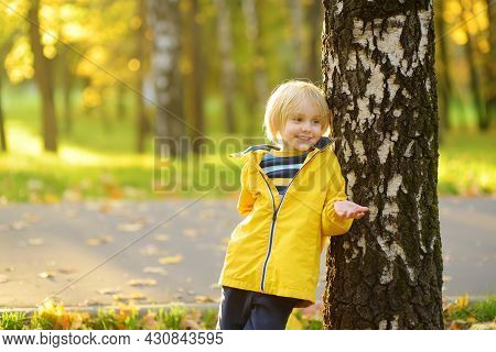 Little Boy Having Fun During Stroll In The Public Park Birch Trees At Sunny Autumn Day. Active Famil