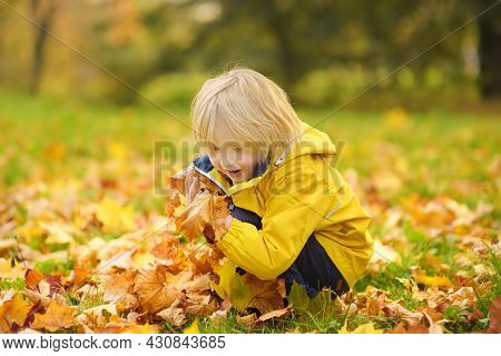 Little Boy Having Fun During Stroll In The Forest At Sunny Autumn Day. Child Playing Maple Leaves. A