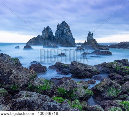 Green Seaweed On Rocks With Camel Rock In The Background At Bermagui On The Nsw Coast Of Australia
