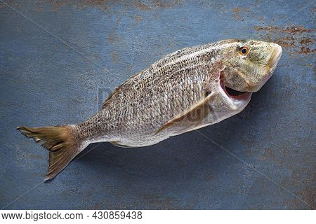 Delicious Fresh Fish On Vintage Blue Background. Healthy Diet Eating Or Cooking Concept