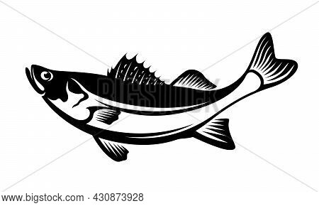 Black And White Illustration Of The Barramundi Fish Vector Design