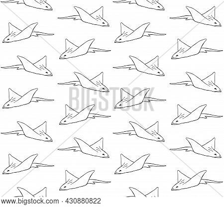 Vector Seamless Pattern Of Hand Drawn Doodle Sketch Devil Fish Skate Fish Isolated On White Backgrou