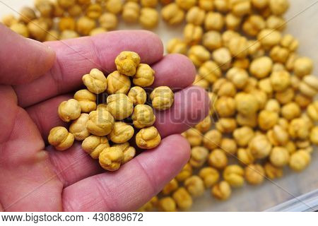 Turkey çorum Salted Chickpeas, Chickpeas Close-up, Yellow Chickpeas,