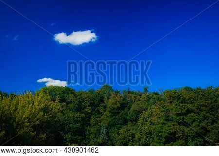 Green Top Of Trees And Vibrant Blue Sky Nature Photography Scenic View Background Space With Empty C