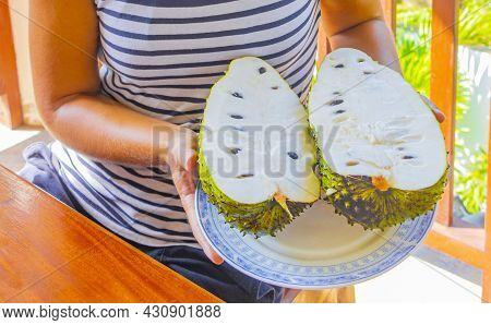Woman Holds Sliced Soursop Sauersack Tropical Fruit In Sri Lanka.