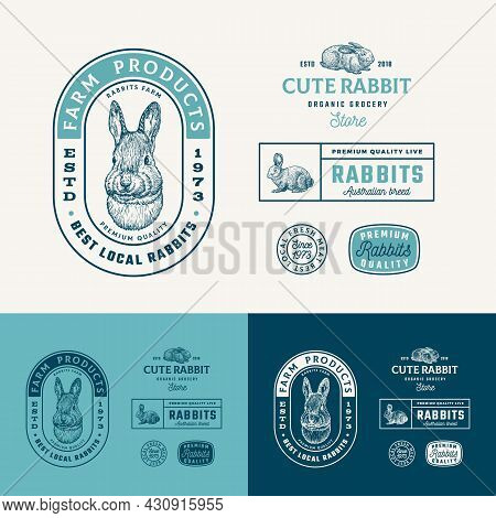 Best Local Rabbits Farm Retro Framed Badges Or Logo Templates Collection. Hand Drawn Hare Face And A