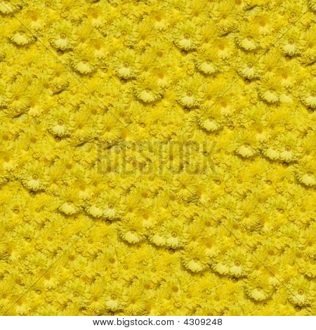 Crisantemo Seamless Pattern componibile