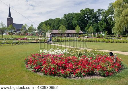 Lottum, The Netherlands - June 19, 2021: People Wondering Beautiful Roses In Public Garden