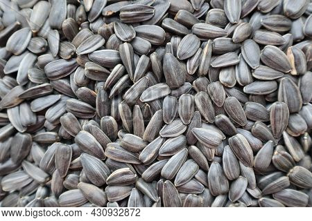 Background Of Black And Gray Sunflower Seeds Close Up