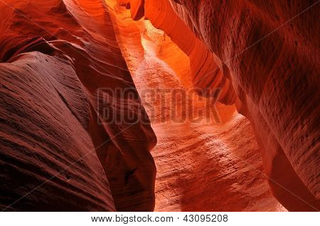 Slot Canyon Cathedrals