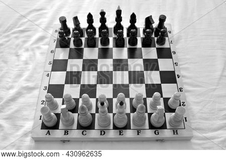 Chess Pieces On Wooden Chessboard. Black And White.