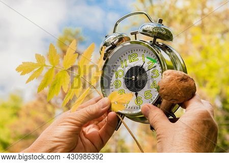 Woman's Hands Hold An Alarm Clock With A Mushroom And A Leaf Of A Tree On The Background Of An Autum