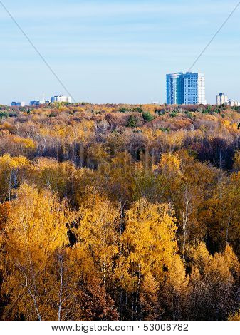 House Over Forest Trees In Autumn Afternoon