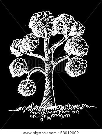 Vector trees with leaves leaf branch  silhouettes