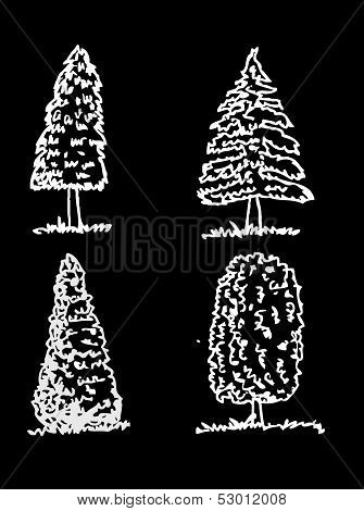 Vector trees with leaves leaf branch  silhouettes