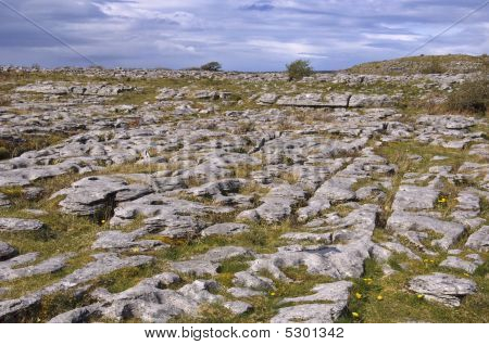 Burren