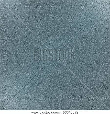 Texture Of The Skin