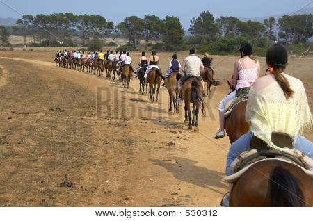 Group Of Horse Riders