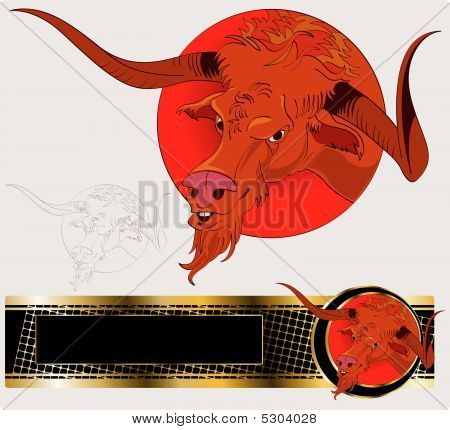 Bull