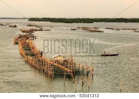 Fishing Farm
