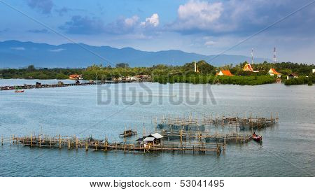 Fishing Farm