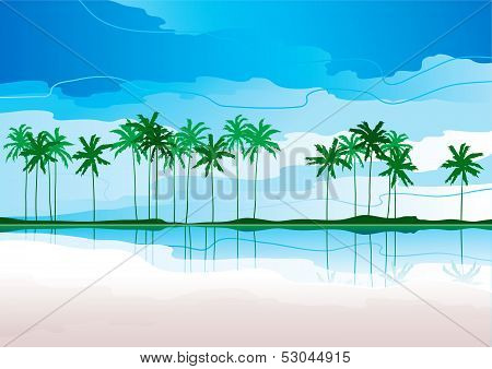 tropical coast