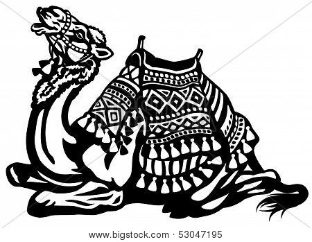 Lying Camel With Saddle Black White