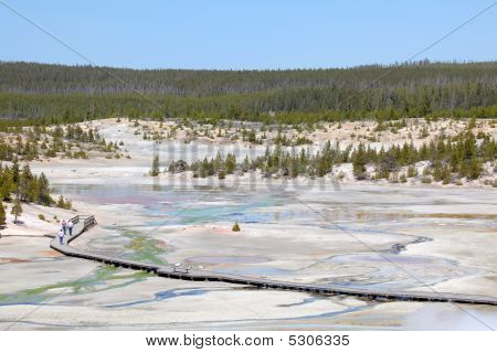 Parco nazionale di Yellowstone - Norris Geyser Basin